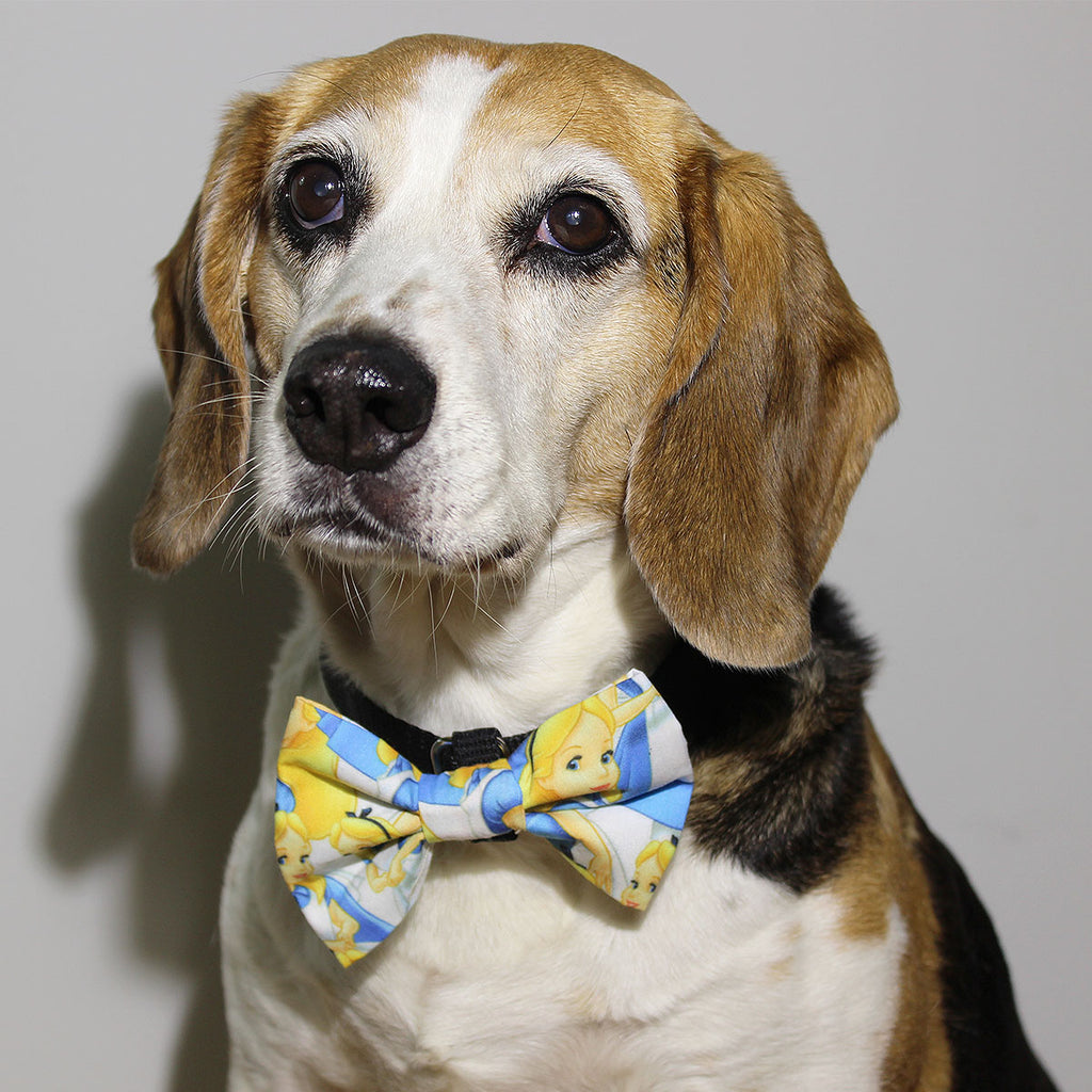 Rabbit Hole - Bow Tie - The Sophisticated Pet