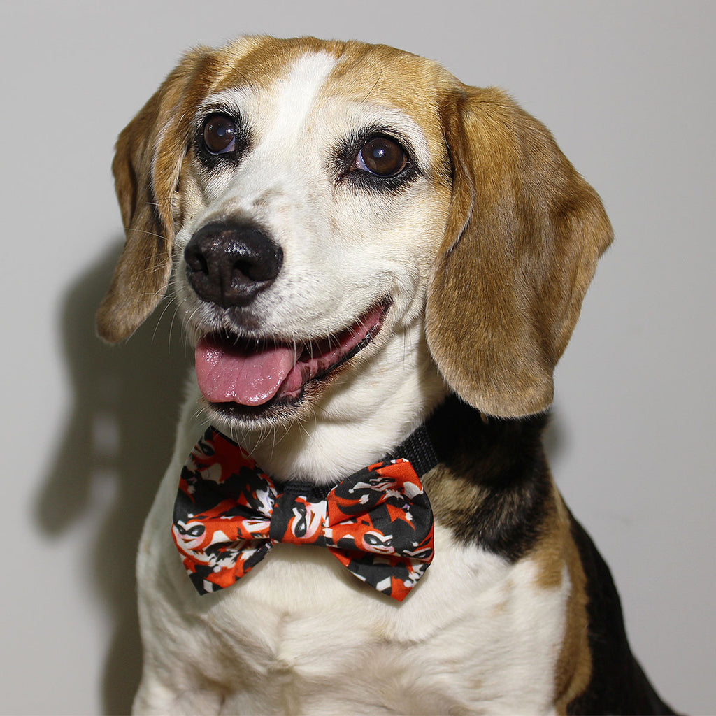Harley Dog - Bow Tie - The Sophisticated Pet