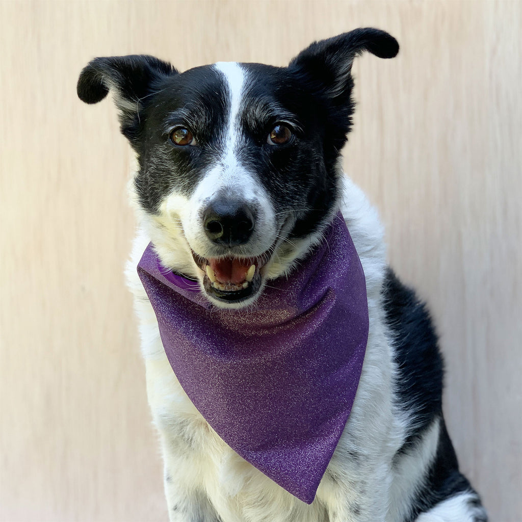 Scissorhands - Bandana - The Sophisticated Pet