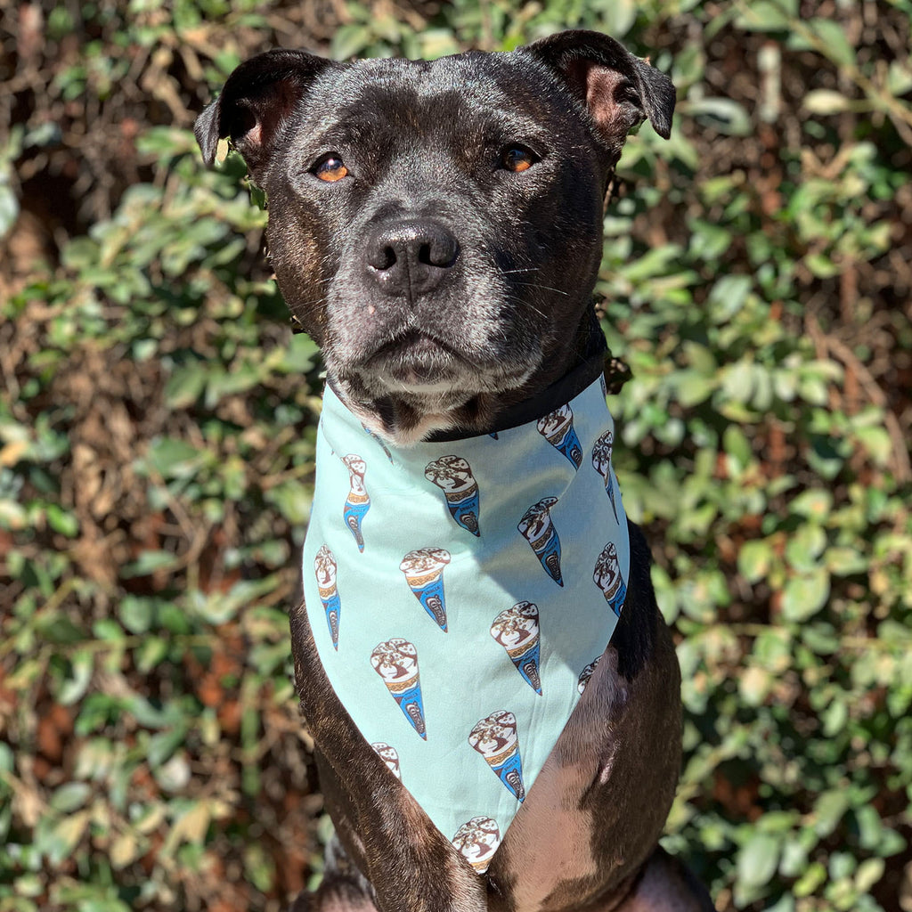 Cornetto - Bandana - The Sophisticated Pet