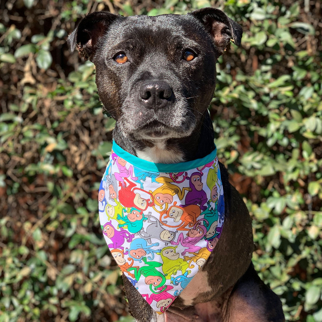 Milo - Bandana - The Sophisticated Pet