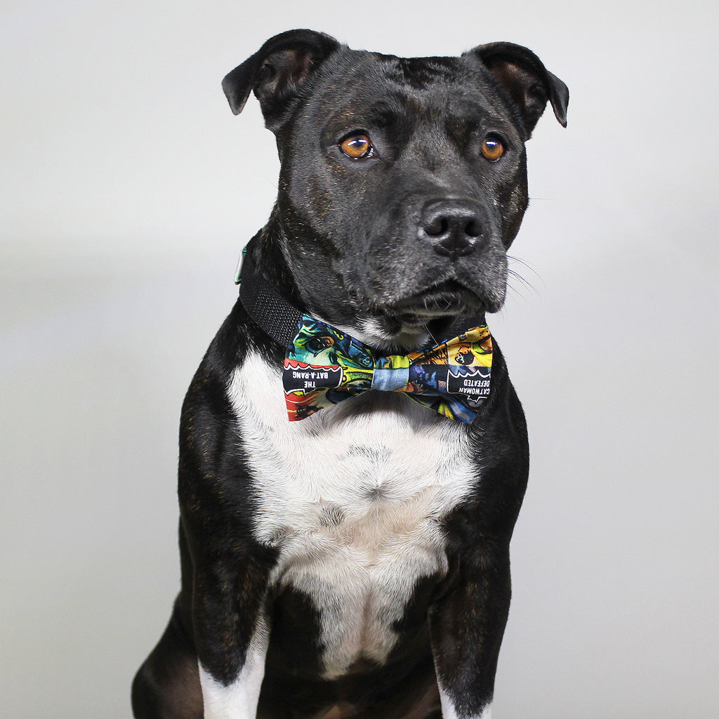 Bruce Wayne - Bow Tie - The Sophisticated Pet