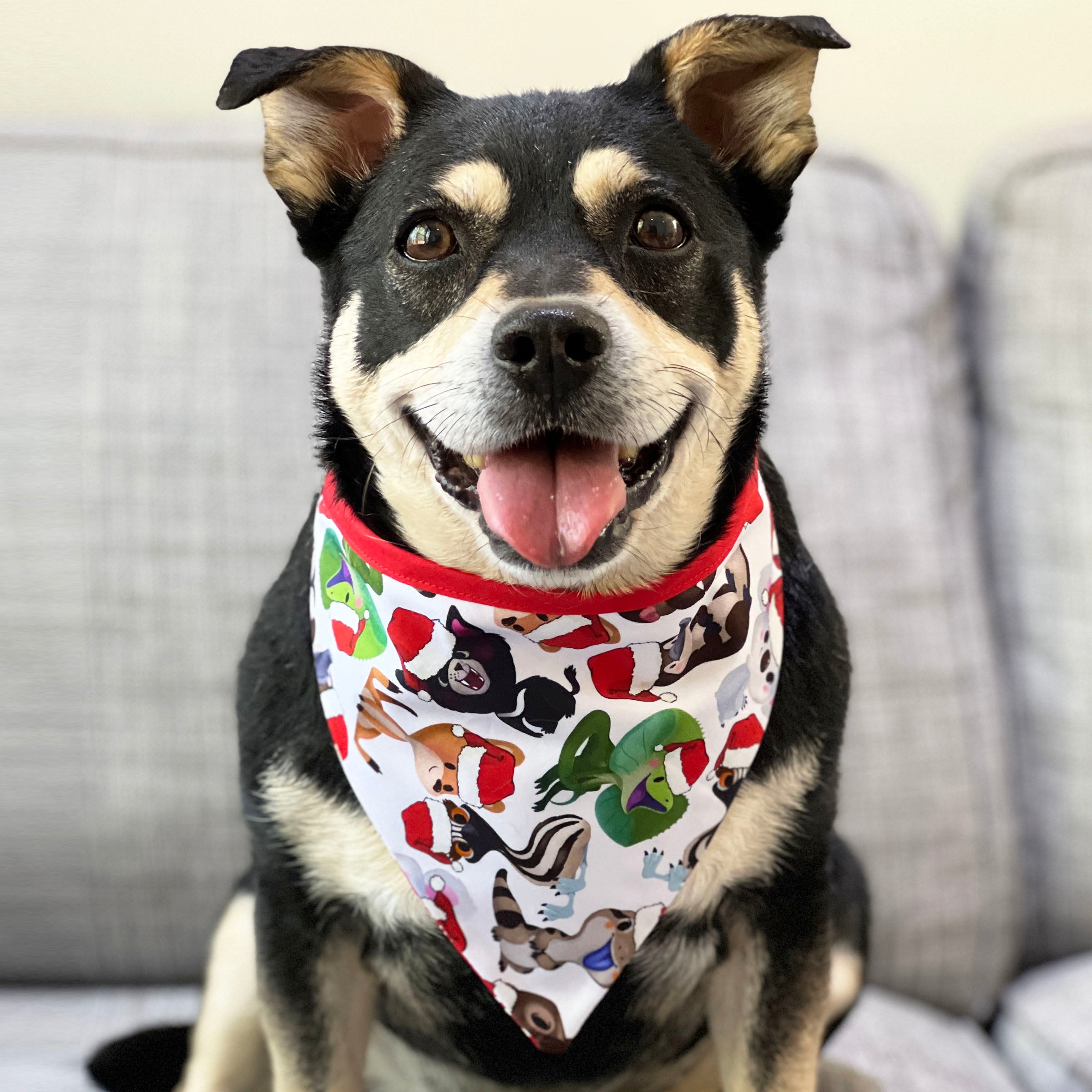 Dog christmas cheap bandana australia