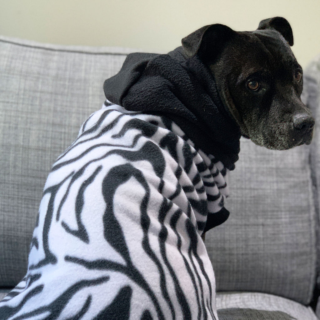Zebra Crossing - Hoodie - The Sophisticated Pet