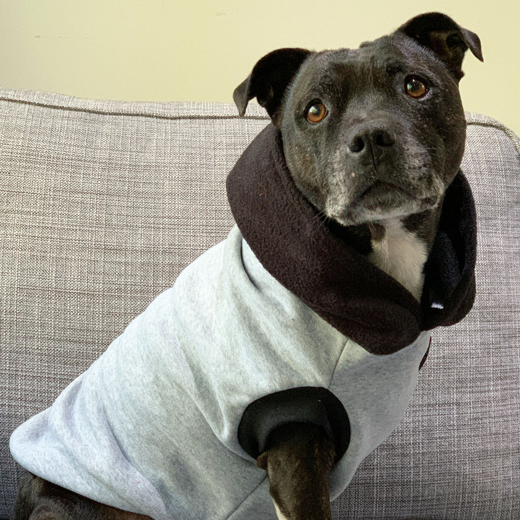 Staffy hoodies for clearance dogs