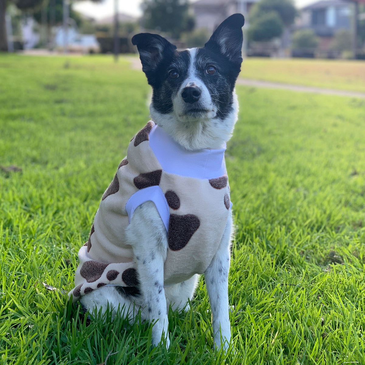 Cuddle Bug - Dog Jumper / Turtleneck– The Sophisticated Pet