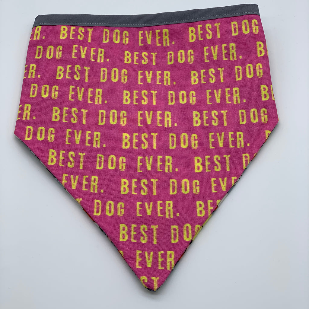 BEST DOG EVER - Bandana - The Sophisticated Pet
