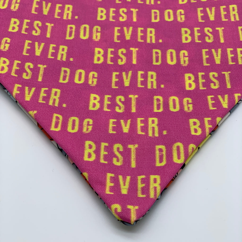 BEST DOG EVER - Bandana - The Sophisticated Pet