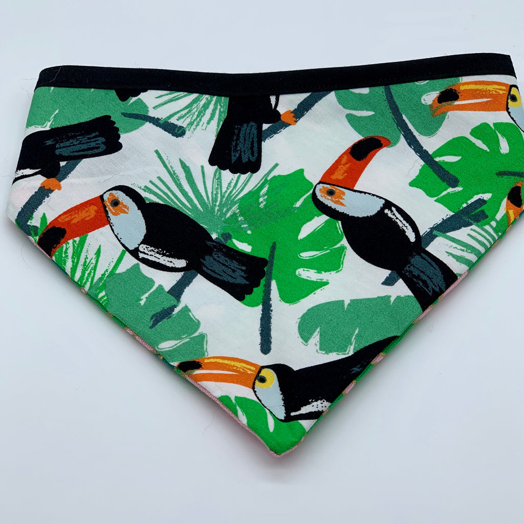Tropicana - Bandana - The Sophisticated Pet