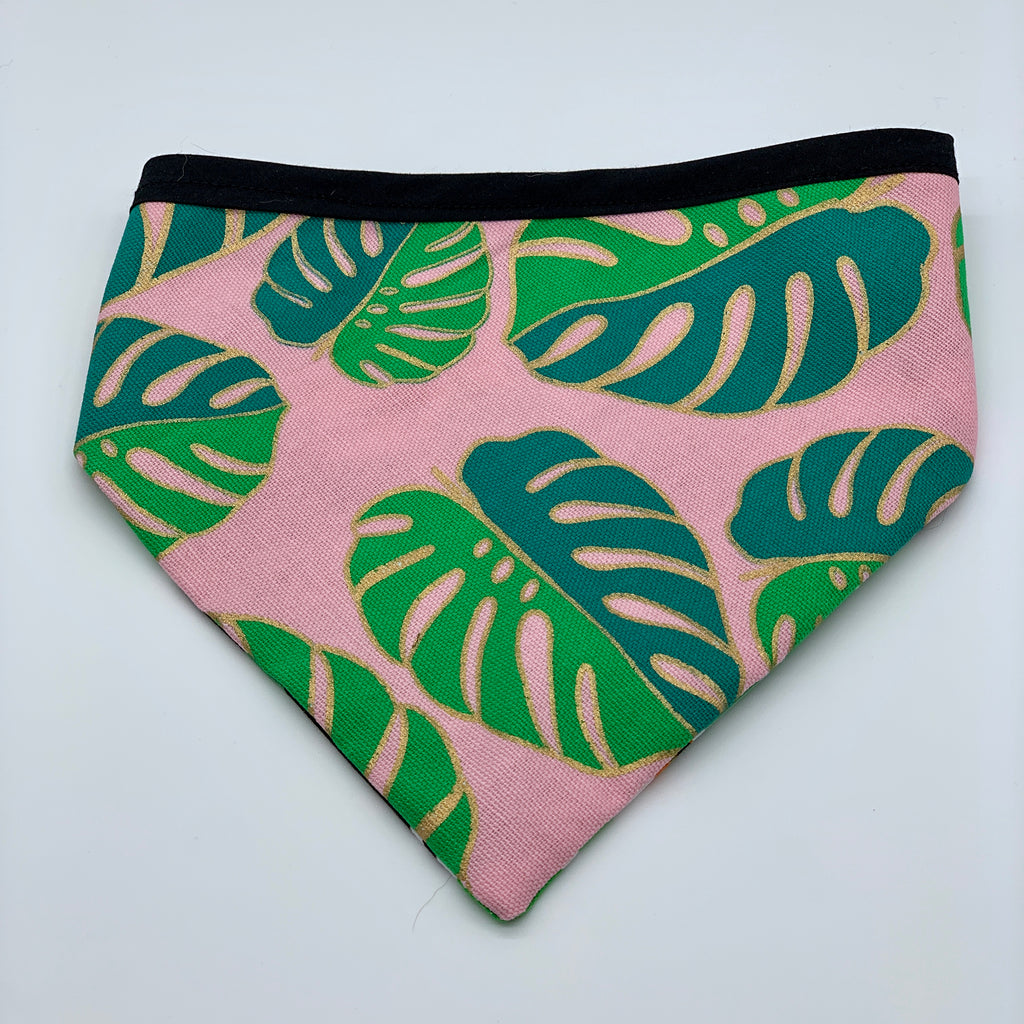 Tropicana - Bandana - The Sophisticated Pet