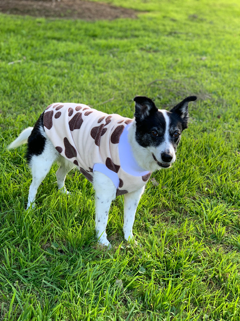 Cuddle Bug Dogs Cuddle Bug | The Sophisticated Pet