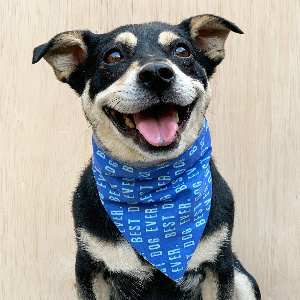 BEST DOG EVER - Bandana - The Sophisticated Pet