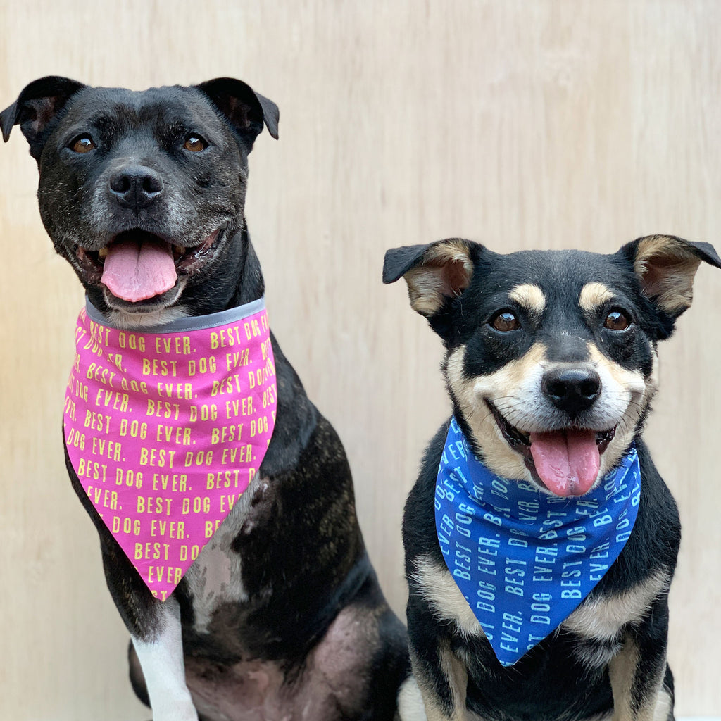 BEST DOG EVER - Bandana - The Sophisticated Pet