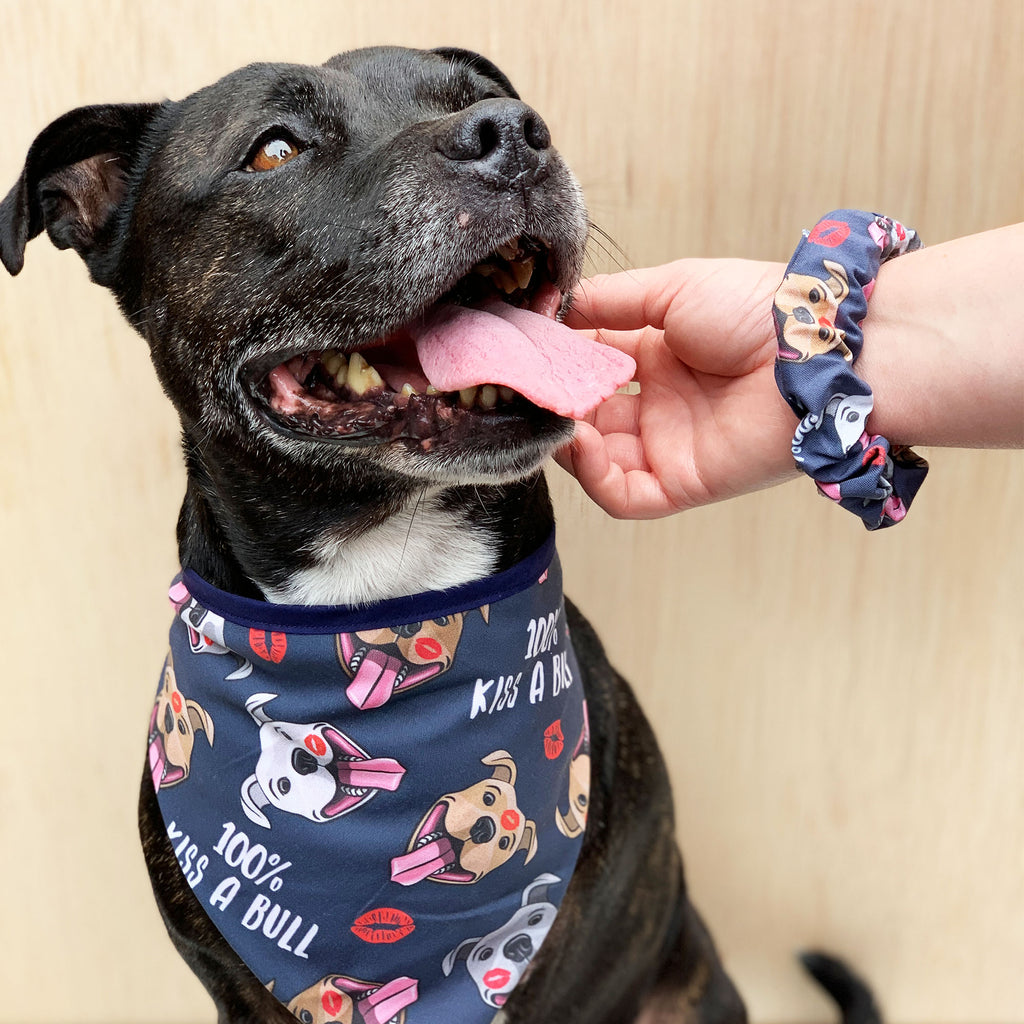 100% Kiss A Bull - Bandana - The Sophisticated Pet