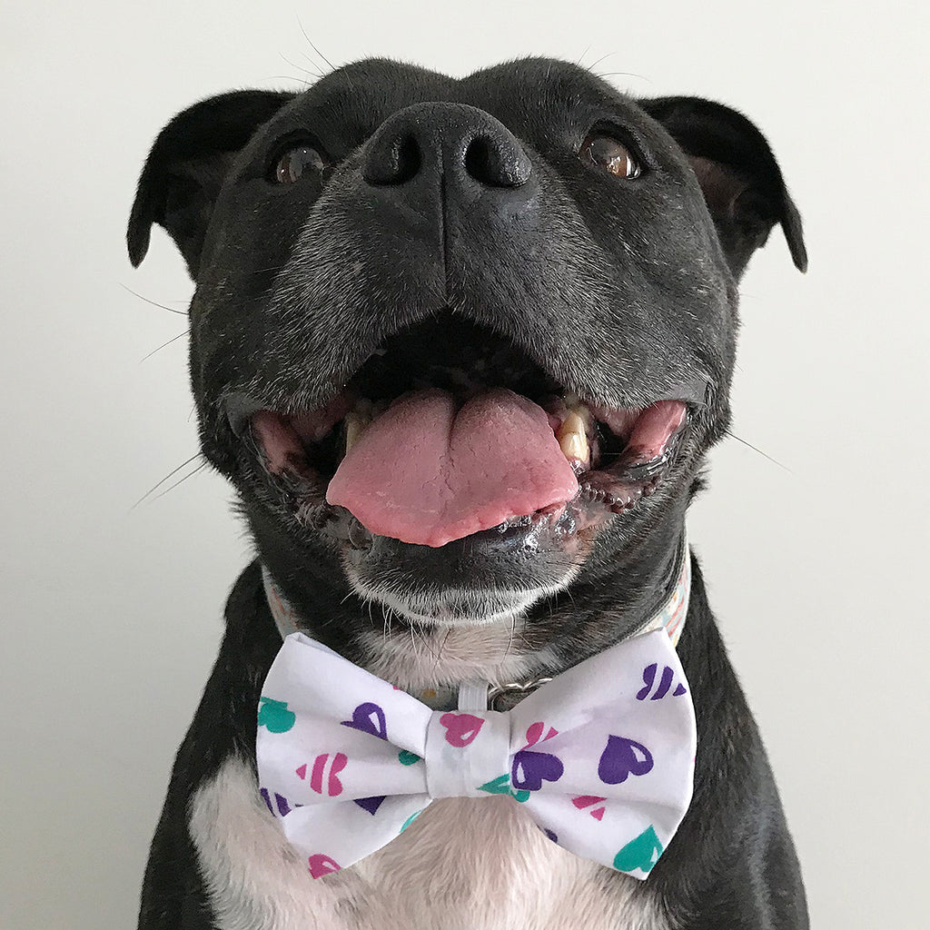 Achy Breaky Heart - Bow Tie - The Sophisticated Pet