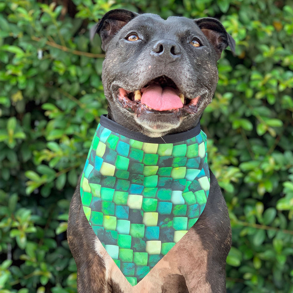 Khaleesi - Bandana - The Sophisticated Pet