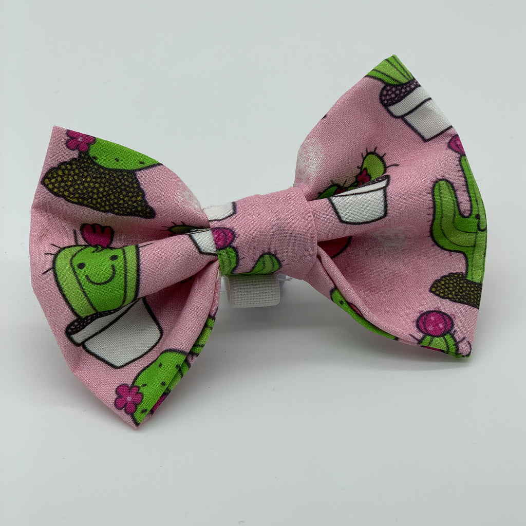Prickle Party - Bow Tie - The Sophisticated Pet