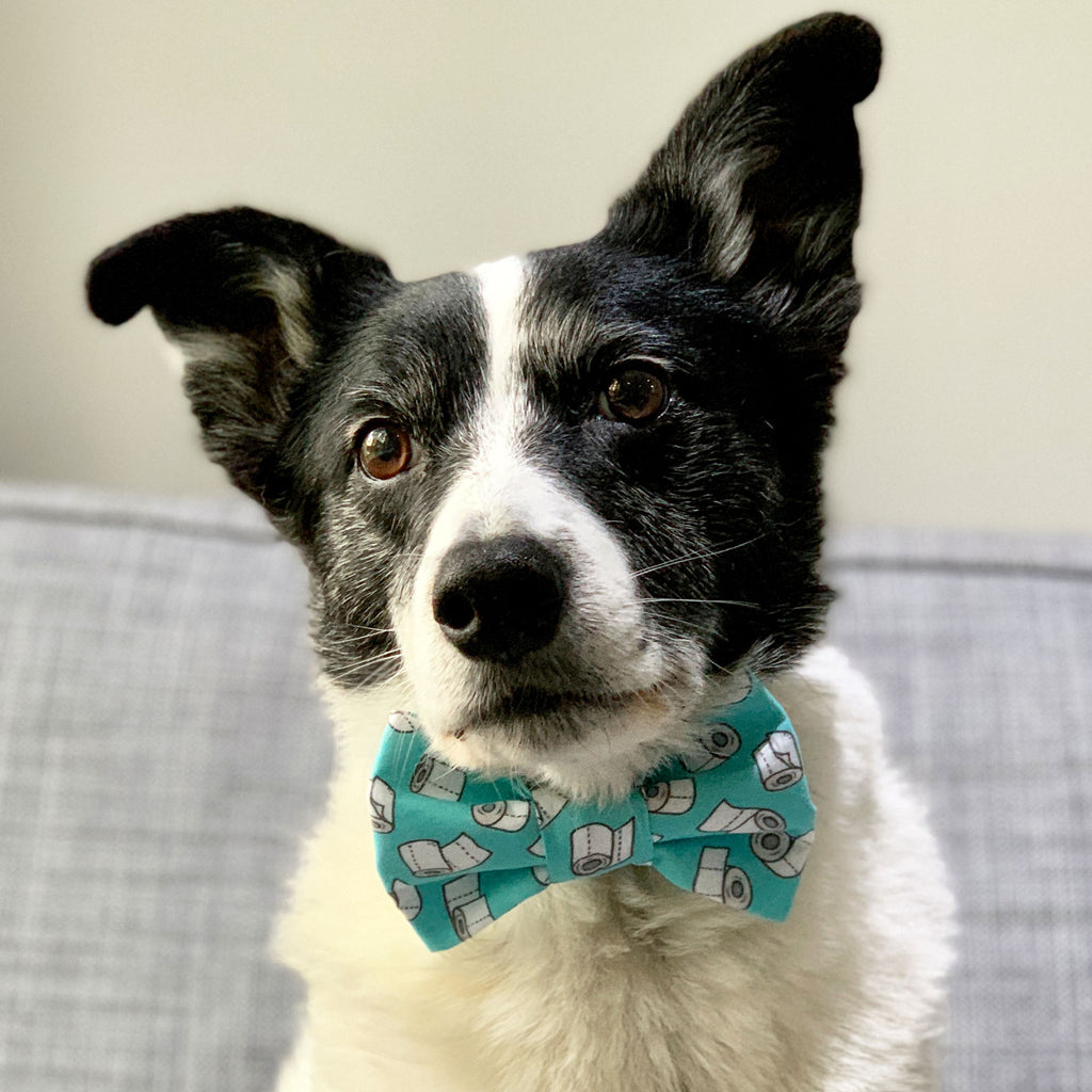 Dunny Roll - Bow Tie - The Sophisticated Pet