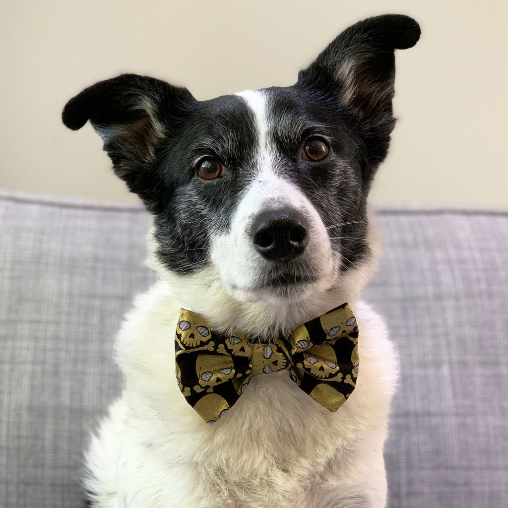 Pirates Life - Bow Tie - The Sophisticated Pet