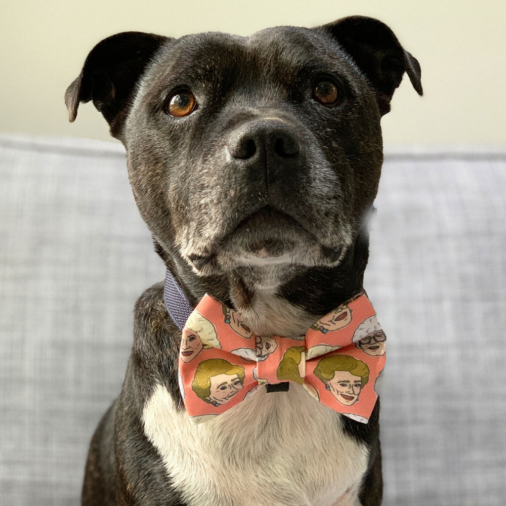 Golden Girls - Bow Tie - The Sophisticated Pet