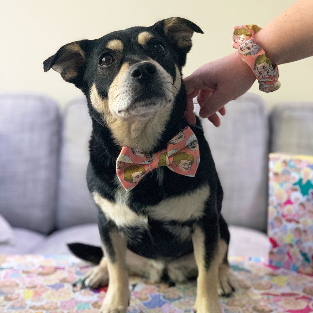 Golden Girls - Bow Tie - The Sophisticated Pet