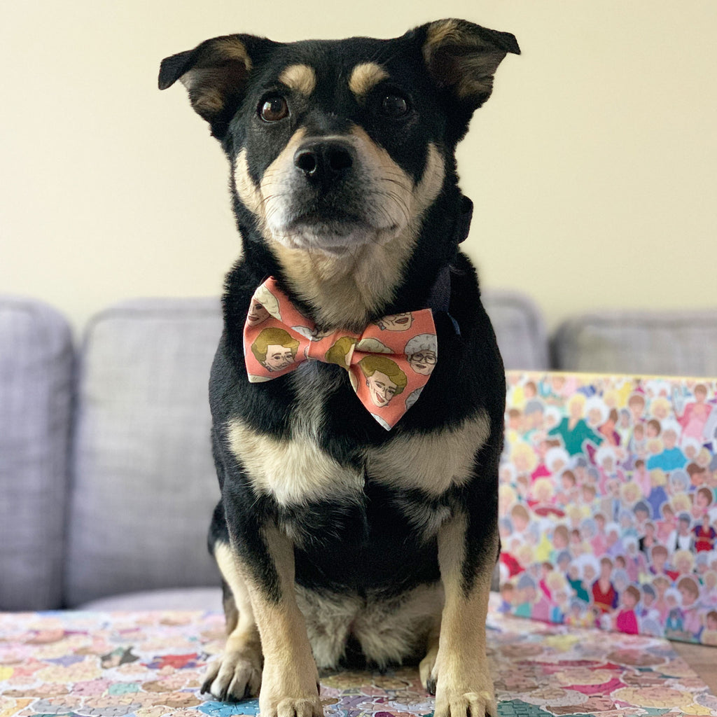 Golden Girls - Bow Tie - The Sophisticated Pet