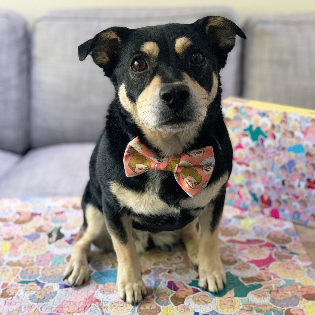 Golden Girls - Bow Tie - The Sophisticated Pet