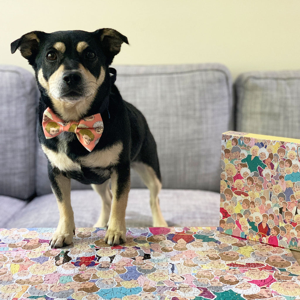 Golden Girls - Bow Tie - The Sophisticated Pet