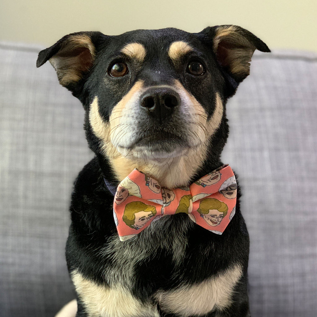 Golden Girls - Bow Tie - The Sophisticated Pet