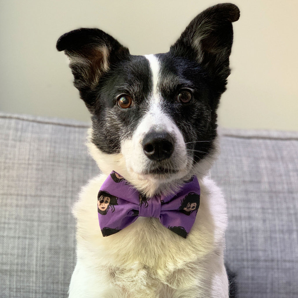 Edward Scissorhands - Bow Tie - The Sophisticated Pet