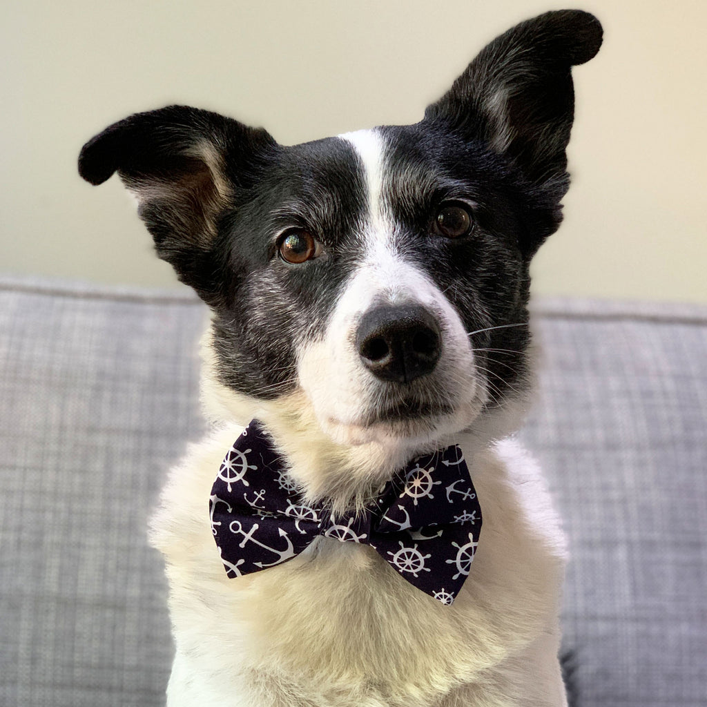 First Mate - Bow Tie - The Sophisticated Pet