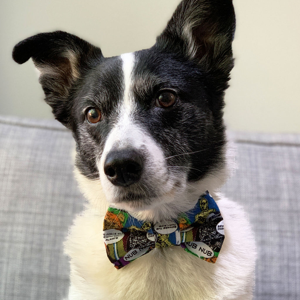 Obi-Wan - Bow Tie - The Sophisticated Pet