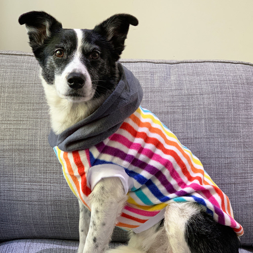 Pina Colada - Hoodie - The Sophisticated Pet