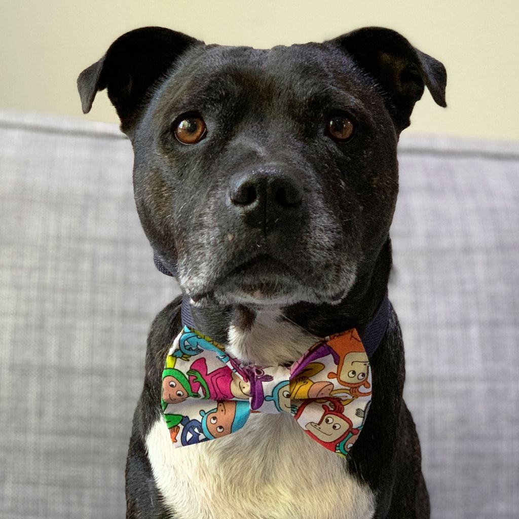 Cheeky Monkey - Bow Tie - The Sophisticated Pet