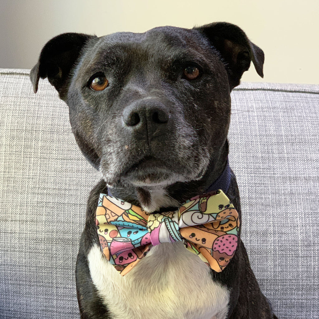 Sweet Tooth - Bow Tie - The Sophisticated Pet