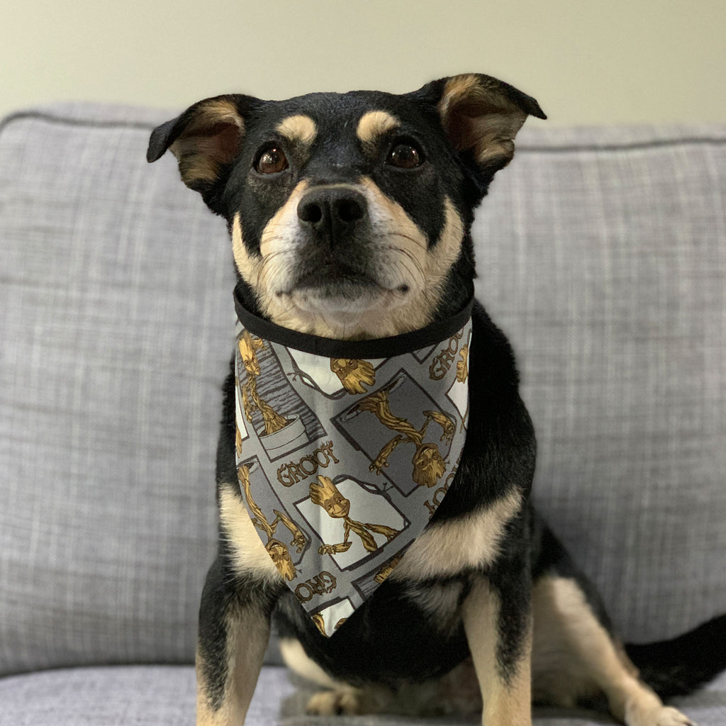 I Am Groot! - Bandana - The Sophisticated Pet