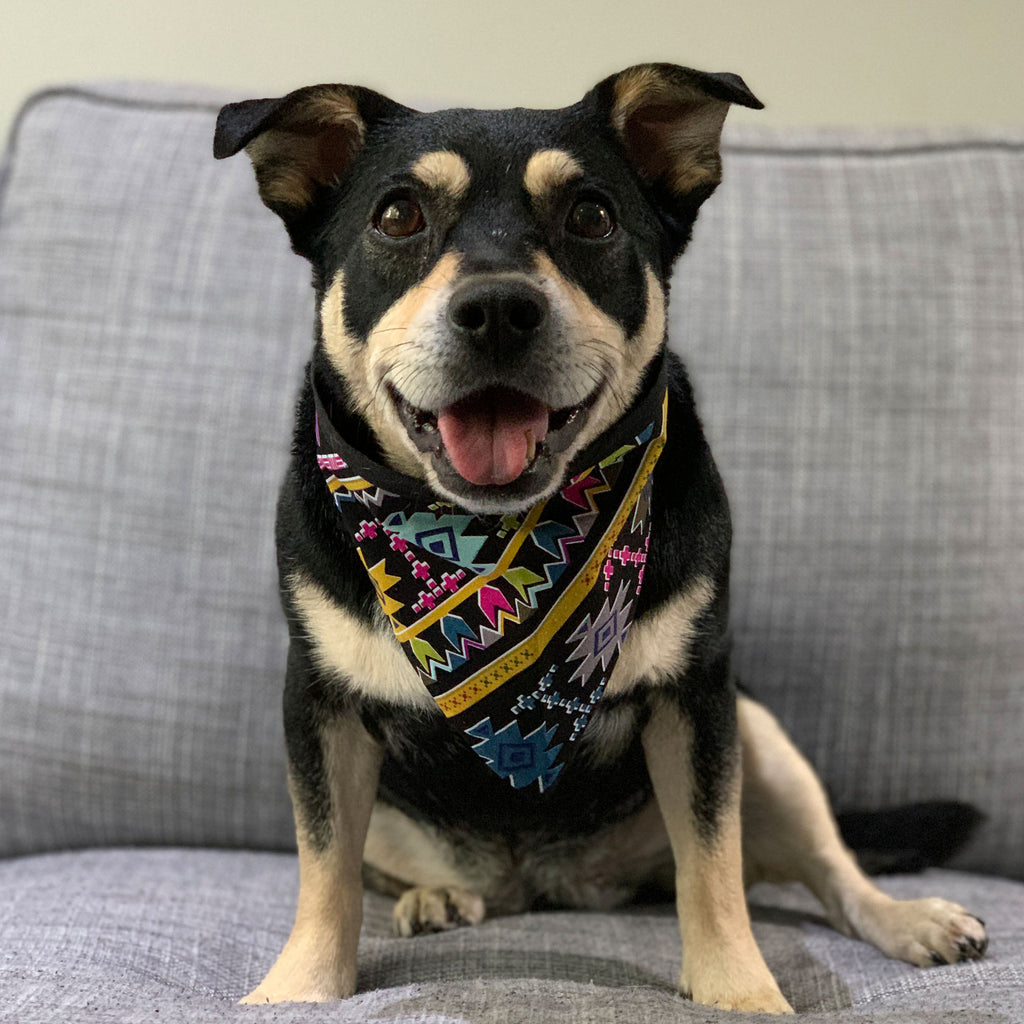 I Am Groot! - Bandana - The Sophisticated Pet