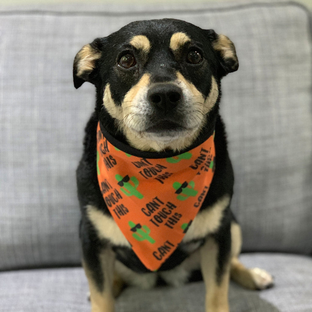 Can't Touch This - Bandana - The Sophisticated Pet