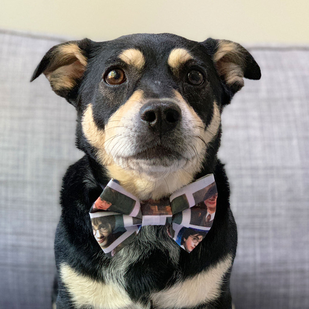 Platform 9 ¾ - Bow Tie - The Sophisticated Pet