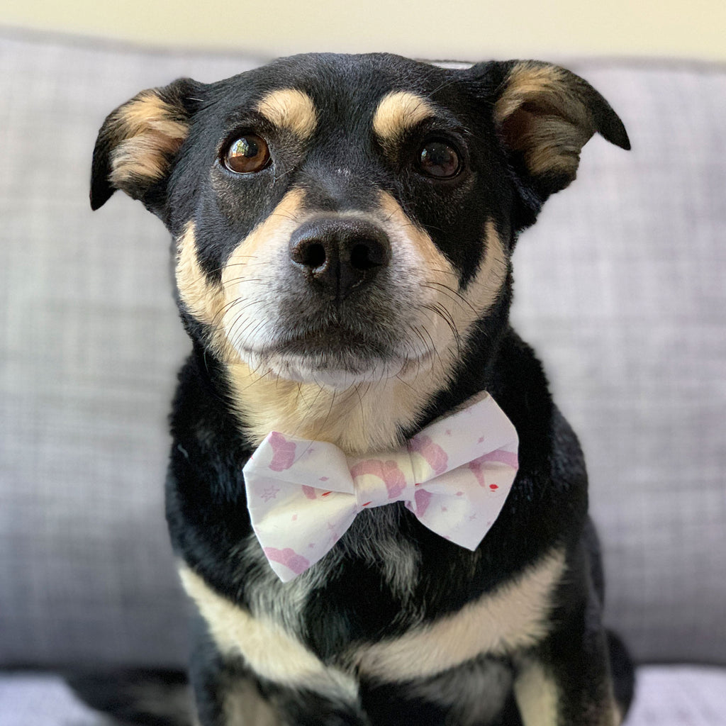 Princess - Bow Tie - The Sophisticated Pet