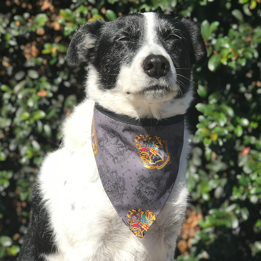 The Sorting Hat - Bandana - The Sophisticated Pet