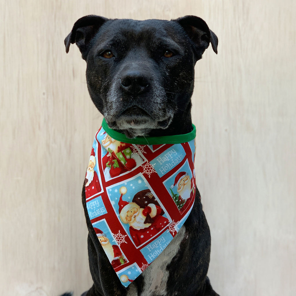 Santas Package - Bandana - The Sophisticated Pet