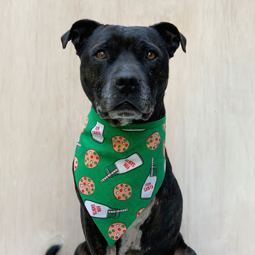 Santas Package - Bandana - The Sophisticated Pet