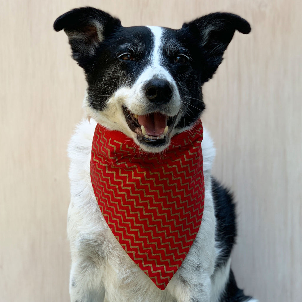 Festivus - Bandana - The Sophisticated Pet